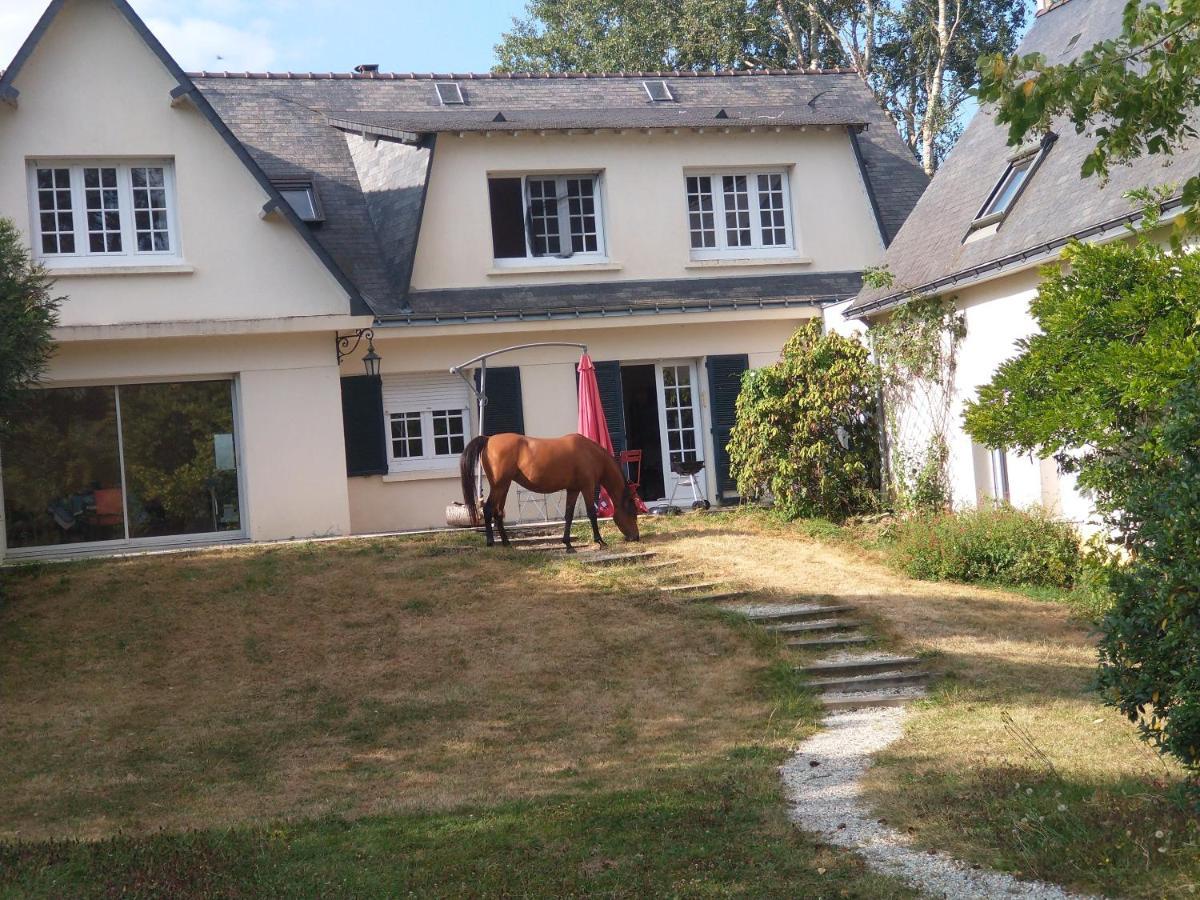 La Fantasia Bed and Breakfast Verrieres-en-Anjou Eksteriør billede